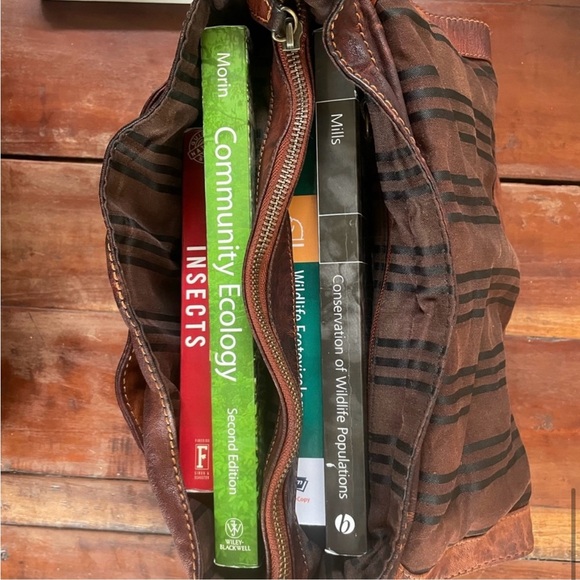 Frye Cameron Satchel GUC redwood dark brown medium 12x10 inches Dark Academia - Picture 12 of 15